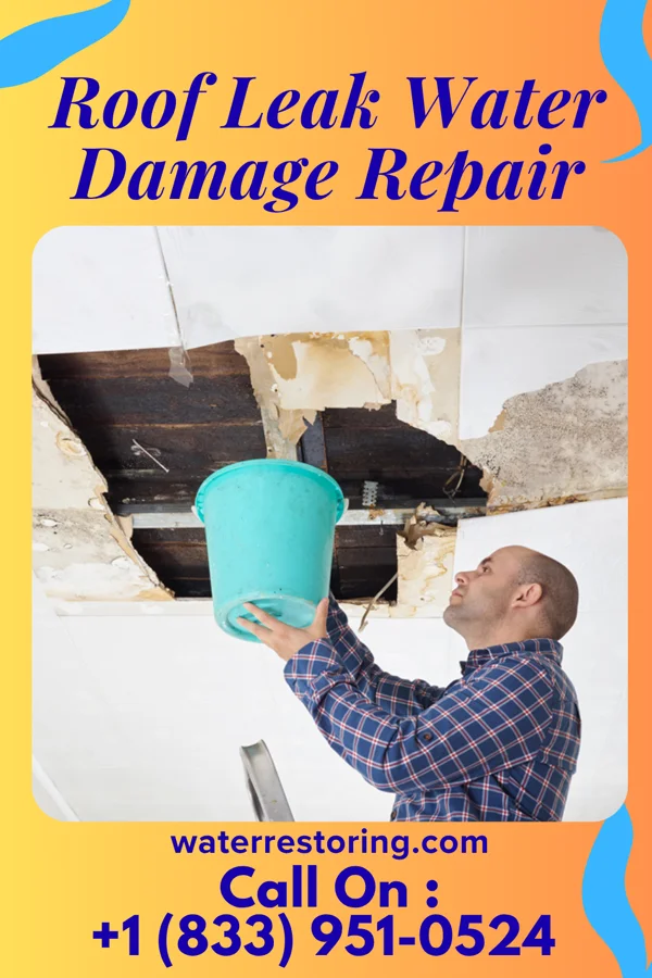 Roof Leak Water Damage Repair in Stanfield, NC