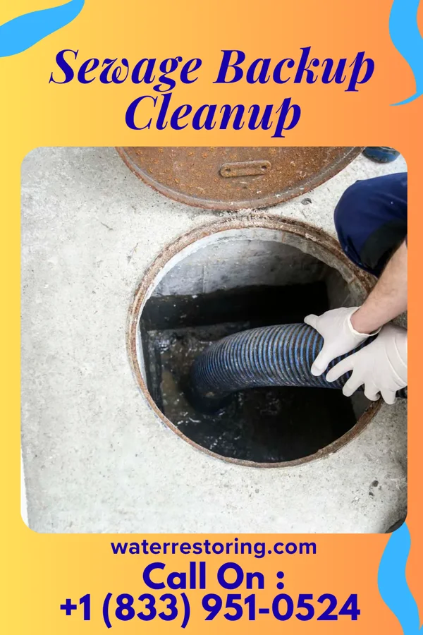 Sewage Backup Cleanup in Stanfield, NC