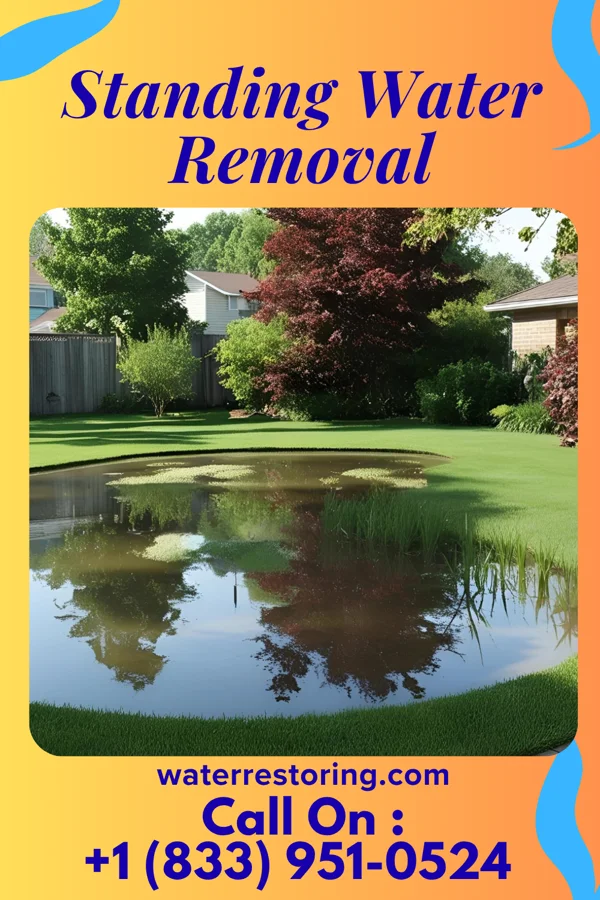 Standing Water Removal in Stanfield, NC